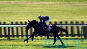 Sakheer bidding to be golden over a mile in Guineas