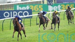 Hurricane Lane storms back to winning ways
