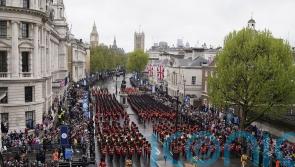 Horse rears backwards into crowds during coronation procession