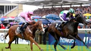 Vadream swoops late to grab Palace prize
