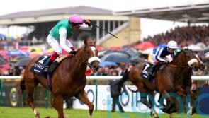 Royal lives up to Hi hopes with Classic second