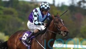 Sprewell powers into Derby reckoning with Leopardstown win