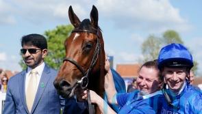 Bin Suroor and Murphy thrilled to be back at the top table