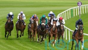 Weld and Aga Khan earn Leopardstown compensation