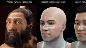 Humans may have inherited nose shape gene from Neanderthals, study suggests