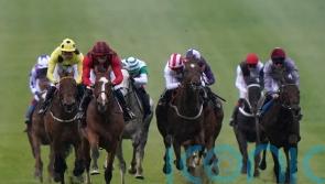 Waipiro could try again to book Derby ticket at Lingfield