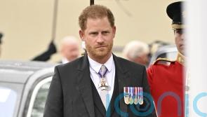 Harry’s ghostwriter recalls ‘frenzied’ response to Spare’s publication