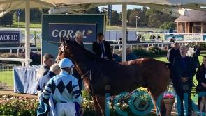Modesty set for low-key return at Newmarket