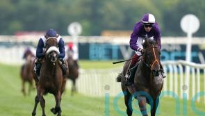 Hannon anticipating retirement for recovering Mojo Star