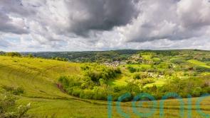 Herd of cattle used to protect environment in the Cotswolds