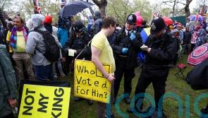 MPs to consider inquiry into Met Police coronation protest arrests