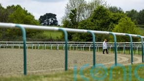 Waterlogging forces all-weather switch for Lingfield’s Classic trials