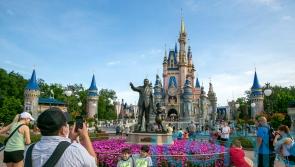 Theme parks aid Disney earnings as it reveals plan to combine streaming services