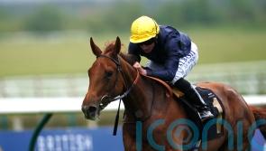 Infinite Cosmos headlines top-class possibles list for Musidora