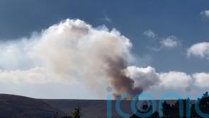 Real estate company fined for burning peatland in protected area