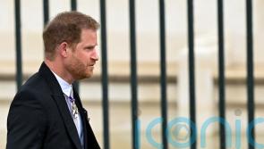 Harry did not have ‘expectation of privacy’ over Nazi costume report, court told
