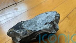 Rock that smashed through house roof was rare meteorite, say scientists