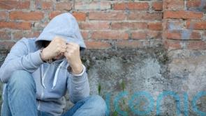 Sentencing changes for young offenders should be flexible, says committee