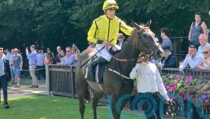 Bright Diamond aiming to sparkle in Oaks Trial test