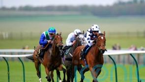 Rebel Territory claims Victoria Cup spoils for Amanda Perrett