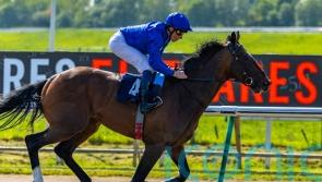 Military Order marches to Epsom with stylish Lingfield win