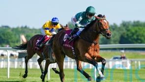 Nashwa handed Prix Corrida target