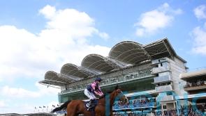 Pretty Polly a possible pick for Via Sistina