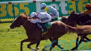 Ferguson eager to assess Canberra’s Classic claims