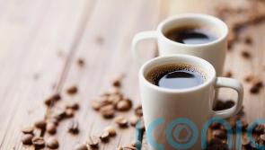 Climate change will cut land available for coffee by more than half, says report