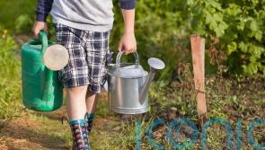 How to encourage green-fingered kids