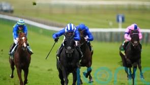 Mutasaabeq has eyes on Lockinge prize this weekend