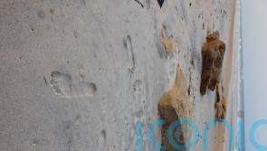 Humans are leaving their DNA everywhere, scientists find
