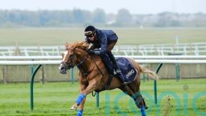 Slipofthepen can write his ticket to Ascot with Sandown victory