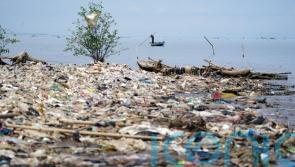 Plastic pollution could be reduced by 80% by 2040, UN says