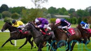 Graceful Thunder shows plenty of dash on Sandown bow