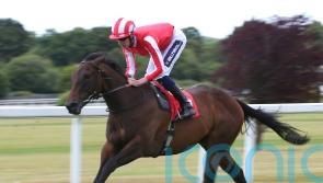 Rocket Rodney shoots for glory in Westow Stakes