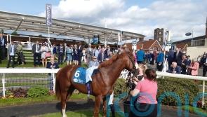 Mon Na Slieve enters Ascot reckoning for Ryan