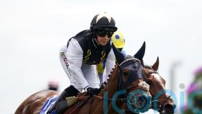 Scampi provides tasty York triumph for Turner