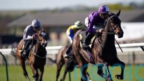 Persian Dreamer heads Amo’s Marygate charge