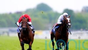 Free Wind makes class count in Middleton Stakes