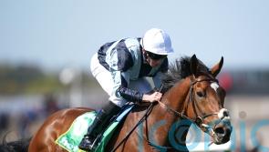 Passenger out of luck on the Knavesmire – but not out of Derby picture