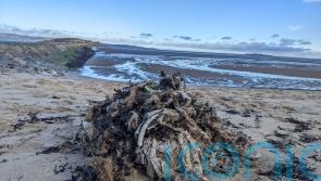 Sewage dumped in Scottish seas for 113,000 hours last year, campaigners warn