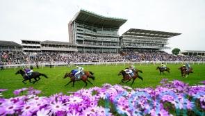 Cuban Thunder is electric in Knavesmire maiden