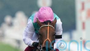Haskoy tackles Al Rayyan challenge on Newbury return