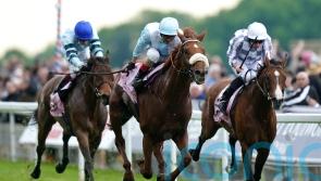 Giavellotto hits the target to put Botti back in the limelight