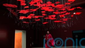 Ghanaian-Scottish architect explores decolonisation at Venice show