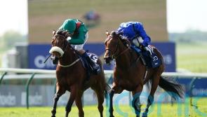Weld leaning towards Curragh Classic run for Tahiyra