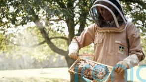 Smiling Princess of Wales gets a buzz out of beekeeping