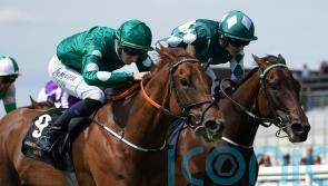 Ladies Church seeking Sole Power success for Murtagh