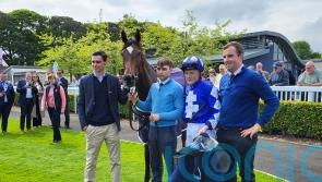 Albany plans for Naas scorer Porta Fortuna